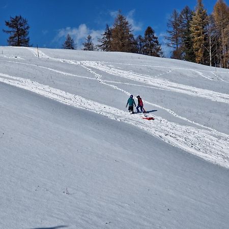 Wohlfuehl-Appartement Bergsee Family - Am Wildsee - Sup Und Schlitten For Free ゼーフェルト・イン・チロル エクステリア 写真