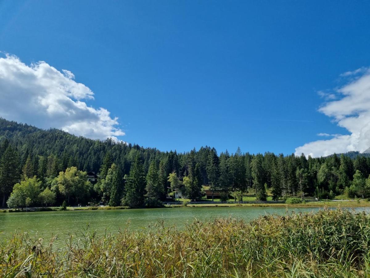 Wohlfuehl-Appartement Bergsee Family - Am Wildsee - Sup Und Schlitten For Free ゼーフェルト・イン・チロル エクステリア 写真