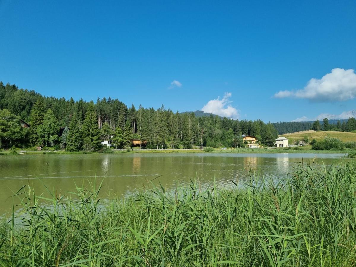 Wohlfuehl-Appartement Bergsee Family - Am Wildsee - Sup Und Schlitten For Free ゼーフェルト・イン・チロル エクステリア 写真