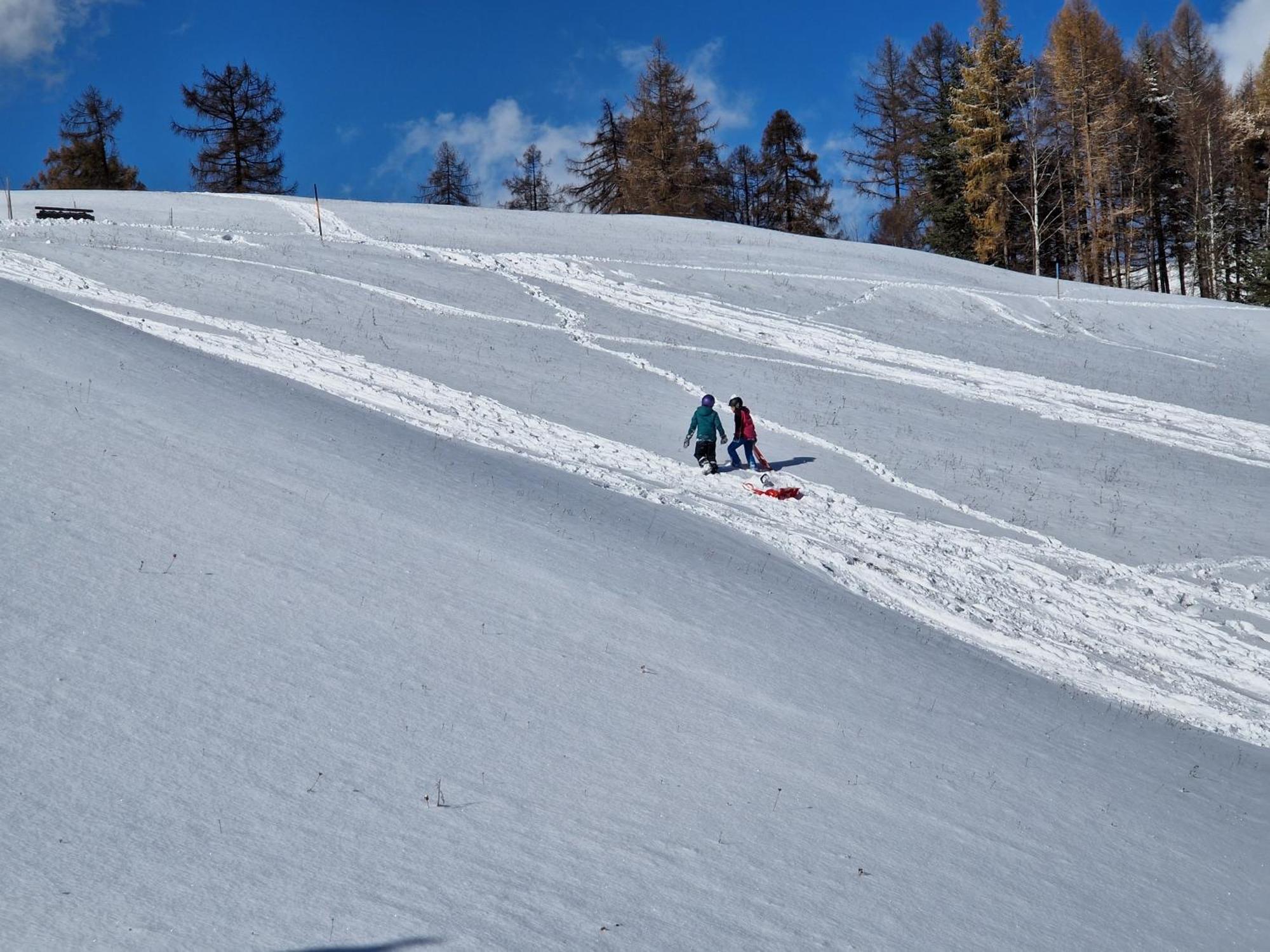 Wohlfuehl-Appartement Bergsee Family - Am Wildsee - Sup Und Schlitten For Free ゼーフェルト・イン・チロル エクステリア 写真
