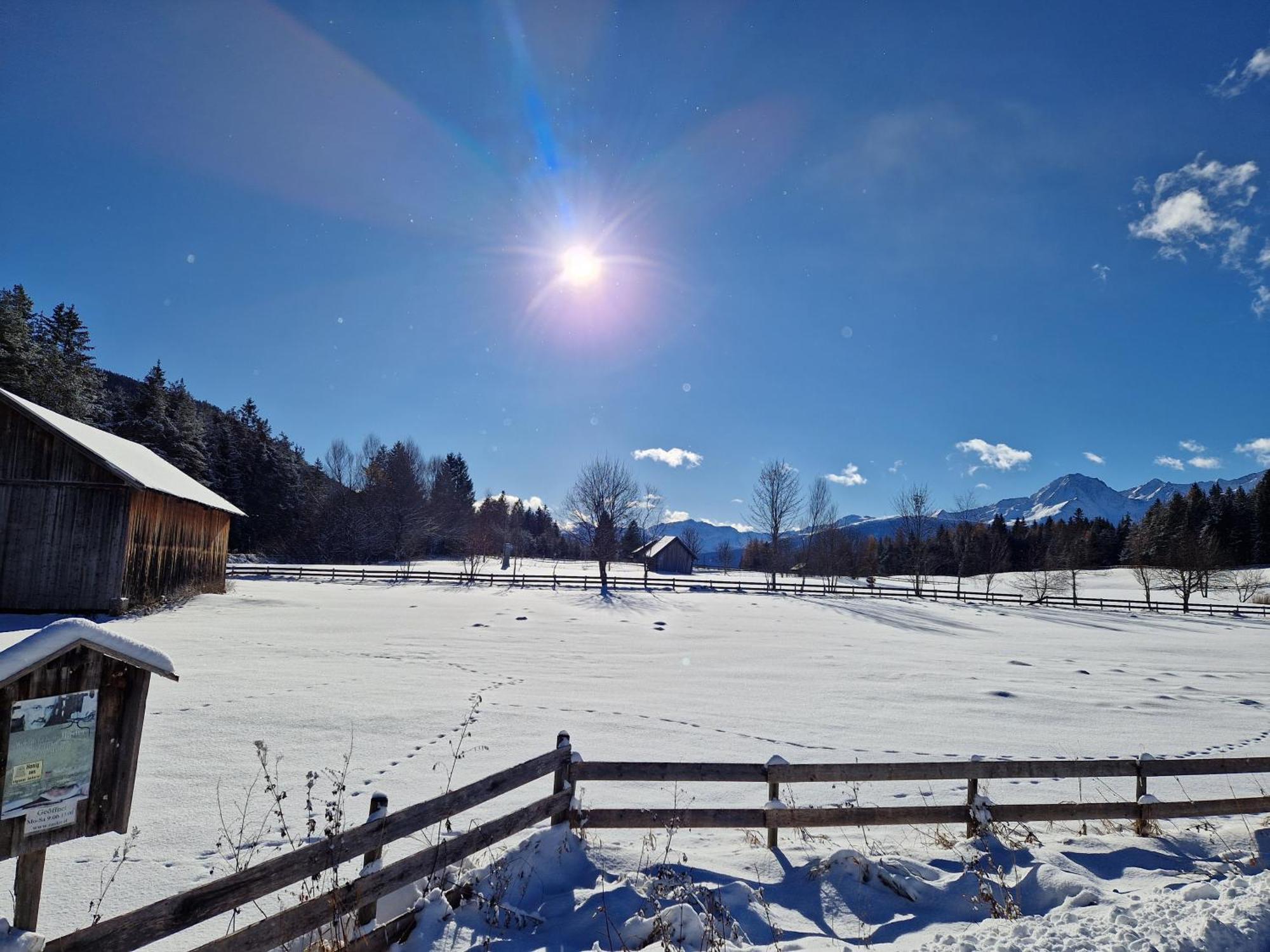 Wohlfuehl-Appartement Bergsee Family - Am Wildsee - Sup Und Schlitten For Free ゼーフェルト・イン・チロル エクステリア 写真