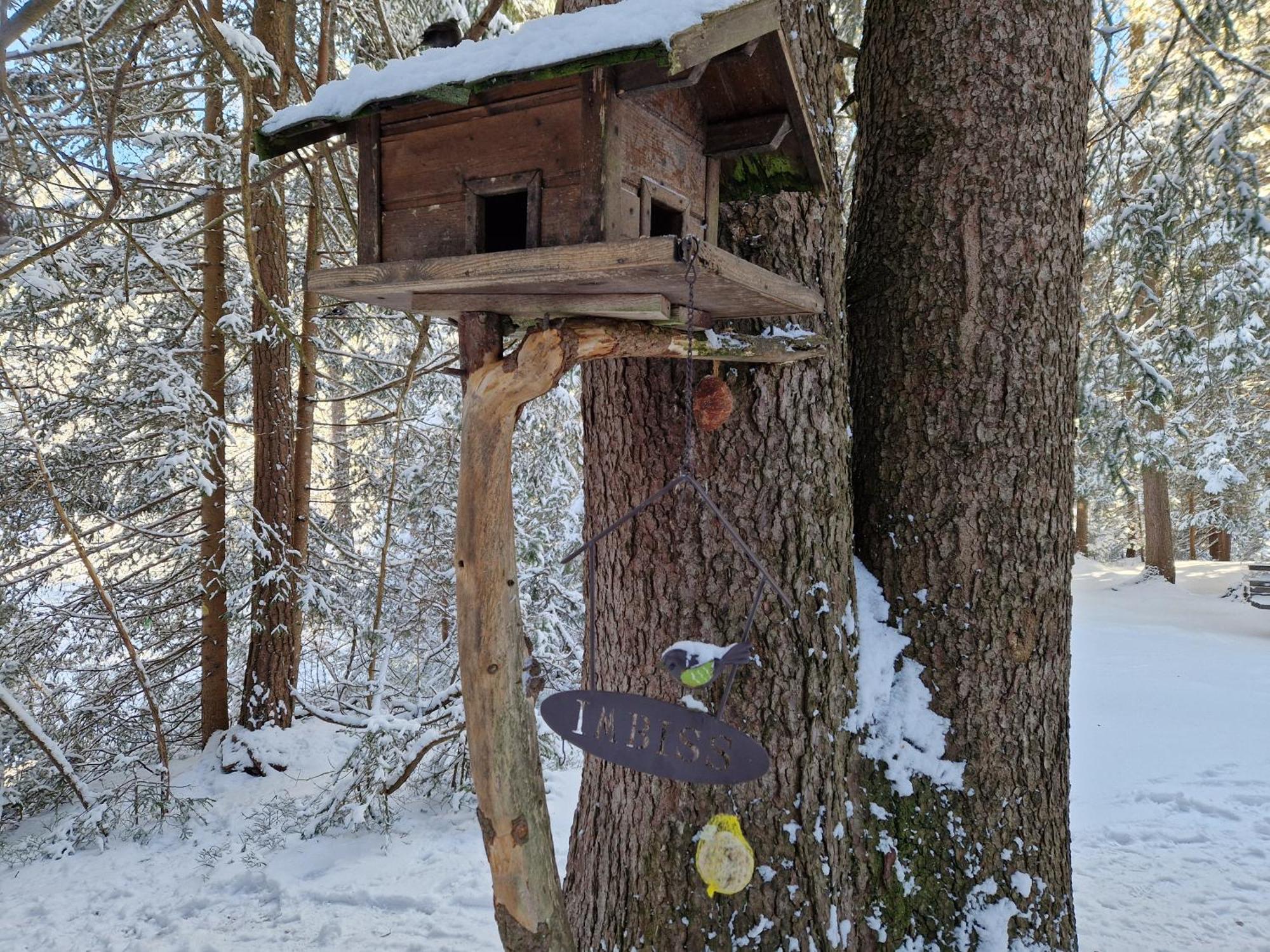 Wohlfuehl-Appartement Bergsee Family - Am Wildsee - Sup Und Schlitten For Free ゼーフェルト・イン・チロル エクステリア 写真